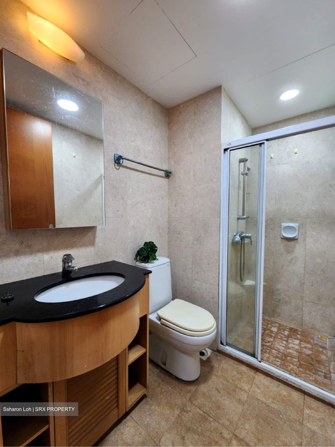 Simsville (D14), Condominium #622644841